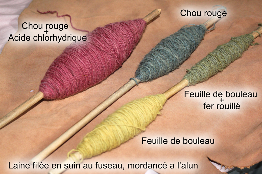 http://www.radioactive-lizard.com/images/Photos/reconstitution/tissage/Choux%20rouge%20et%20bouleau.jpg